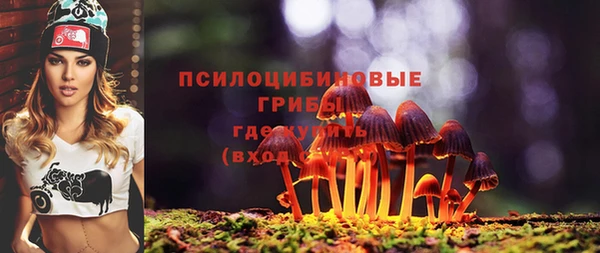 трава Горнозаводск