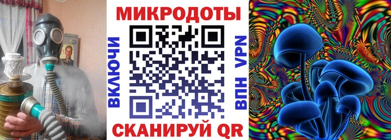 закладка Михайлов Псилоцибиновые грибы GOLDEN TEACHER